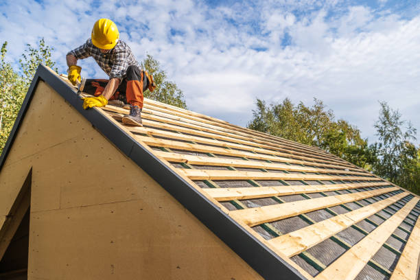 Best Storm Damage Roof Repair  in Jacksboro, TN