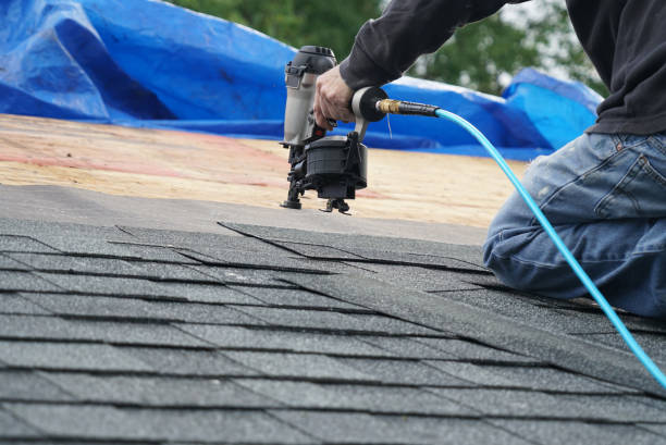Best Roof Leak Repair  in Jacksboro, TN